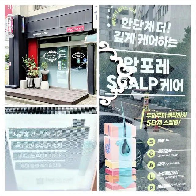 프로헤어넷 사진 2