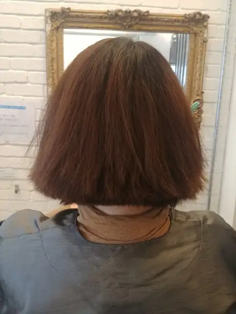 바버앤레이디 사진 7