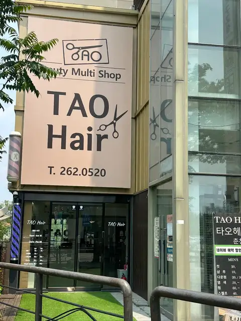 타오헤어 사진 7