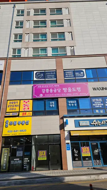 모성에스떼 사진 6