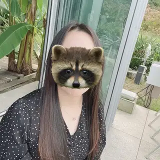 더블브이디 사진