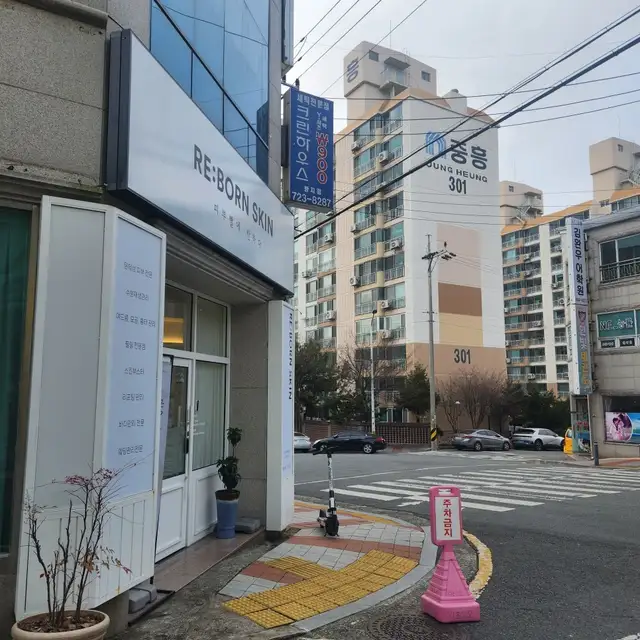 리본스킨 사진 7