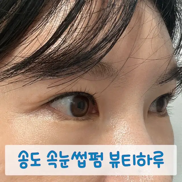 뷰티하루 사진 1
