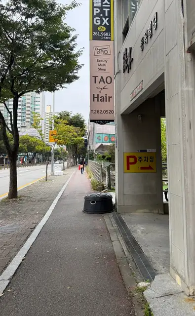 타오헤어 사진 3