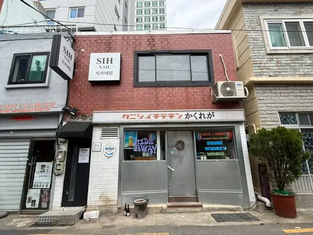 시흐네일 사진 4