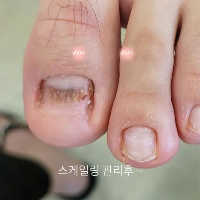 레푸스 춘천석사점 사진 4