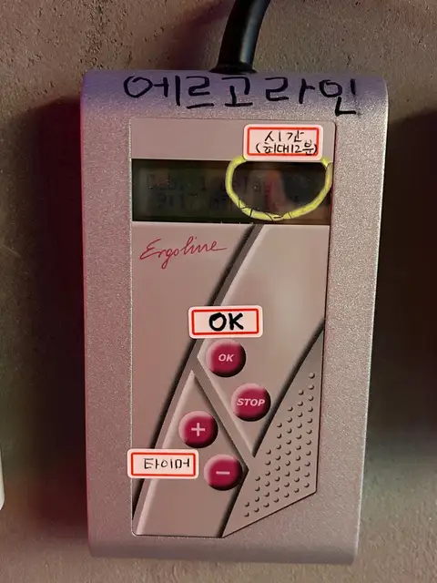 라인텐 사진 4