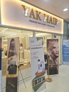 아크헤어 사진
