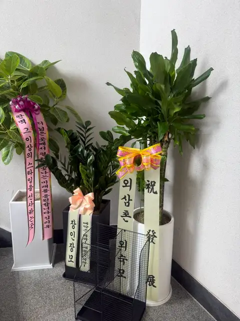 비도프 사진 4