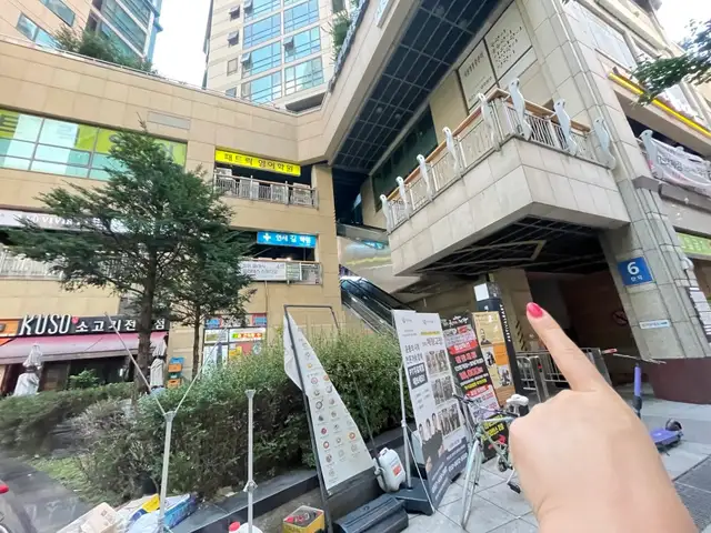 지지래쉬 사진 4