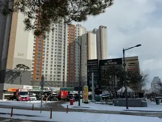 수수헤어 사진