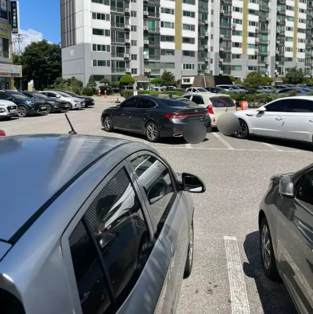 마렌브로우 사진 8