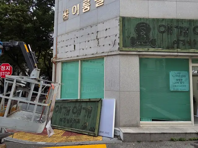 뮤리헤어 사진 4