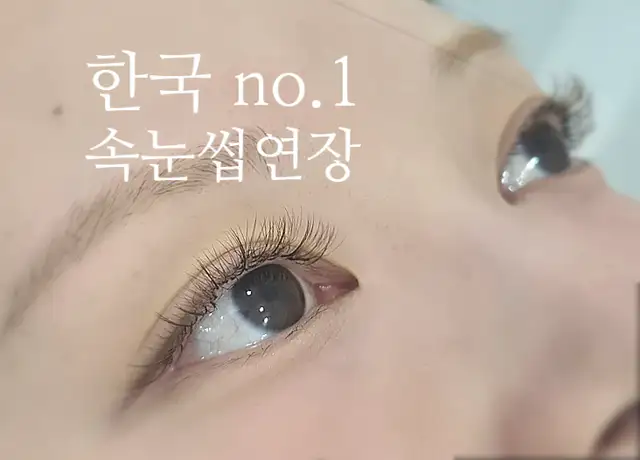 걸스래쉬 사진 7