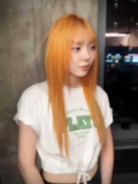 모프 사진 3