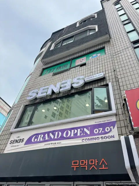 세네즈 헤어 사진 1