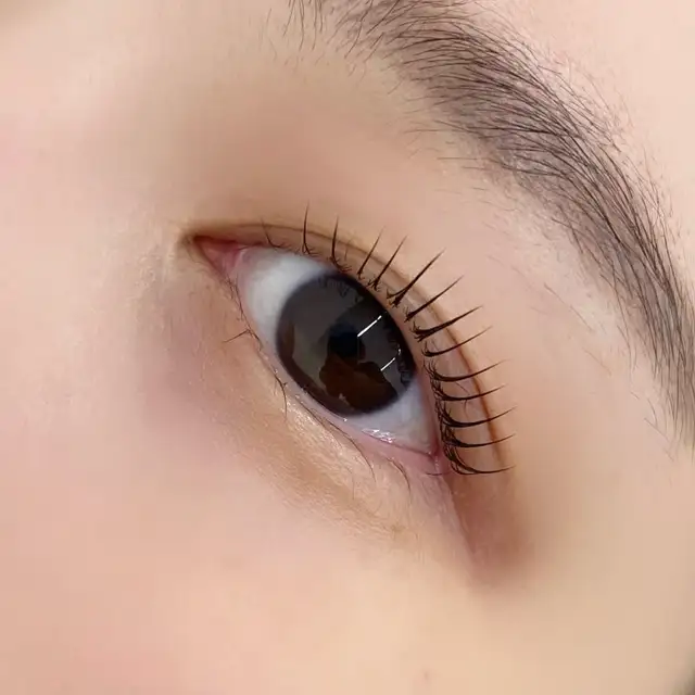 뷰티하루 사진 8