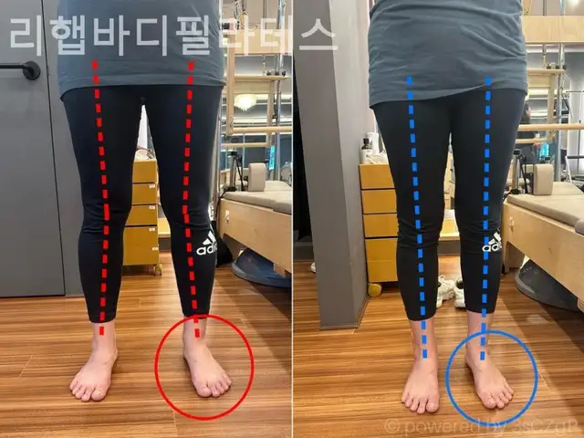 리햅바디필라테스 사진 8