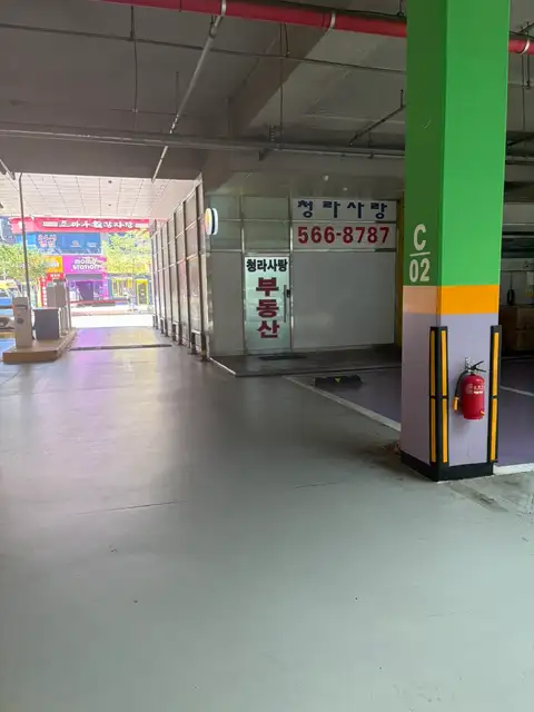 라비채 사진 6