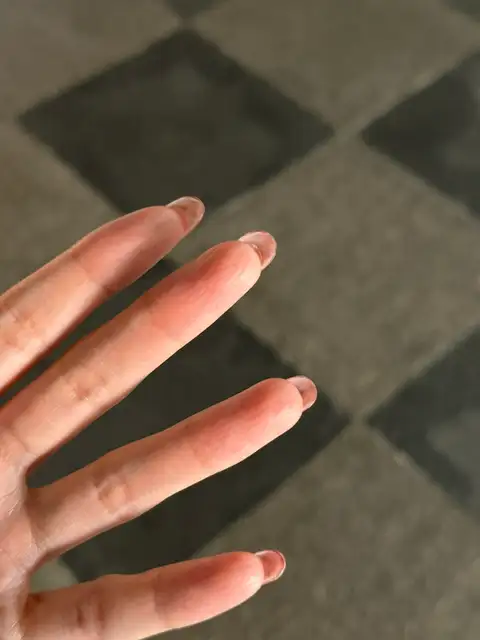 바이올렛 사진 6