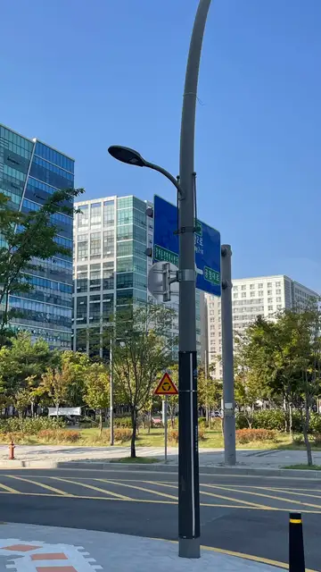 브로우조히 사진 5