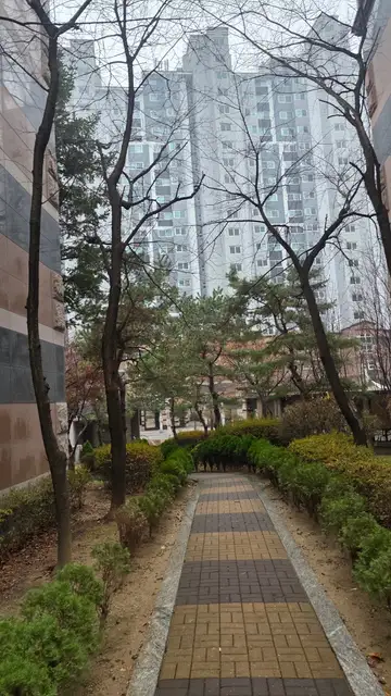 채움피부연구소 사진 3