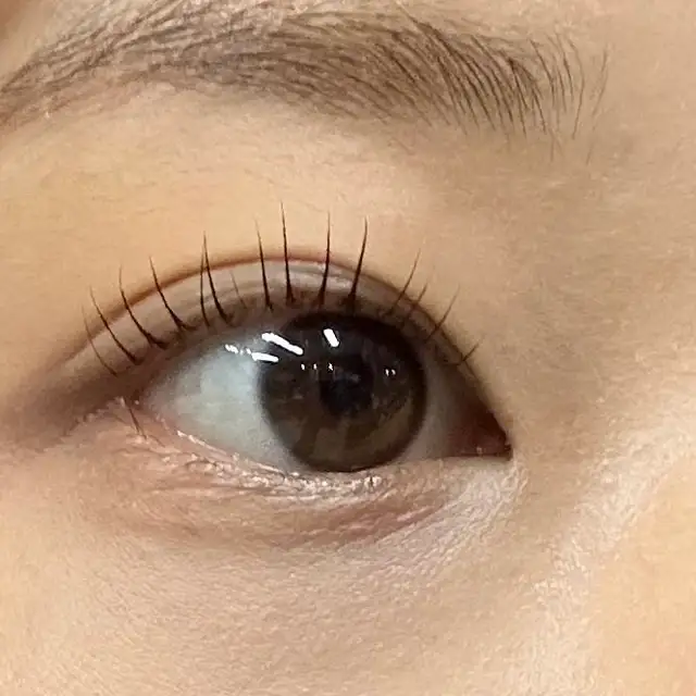 SM브로우 사진 7