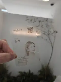 헤어바움 사진