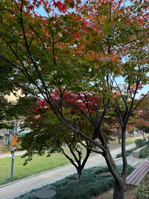알앤래쉬 사진 8