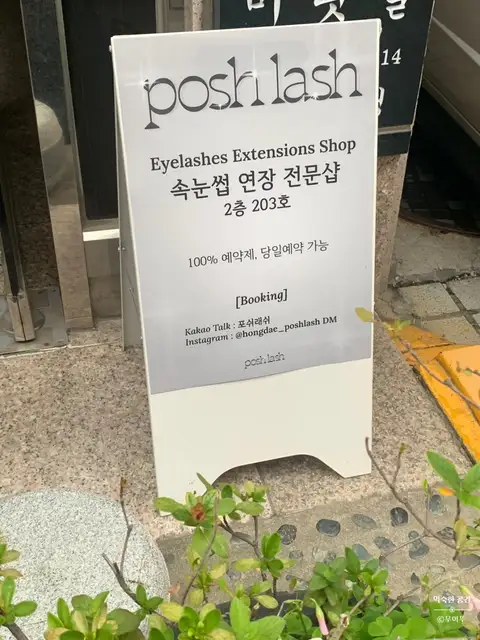 포쉬래쉬 사진 5