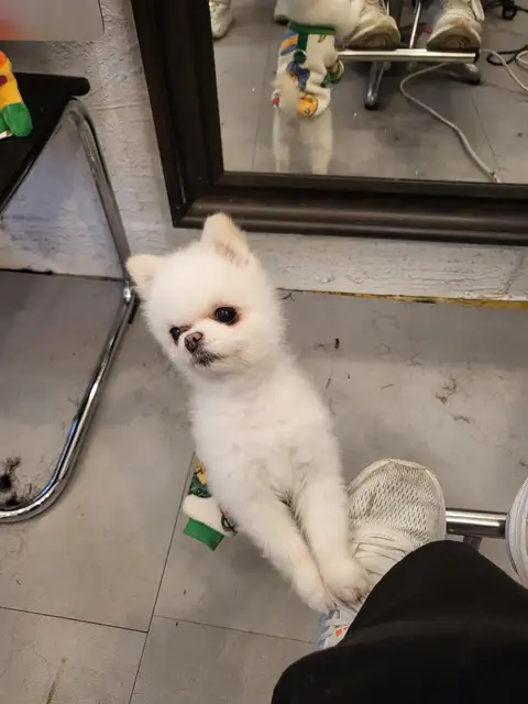 장싸롱 사진 8