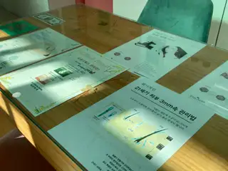 MK뷰티 사진