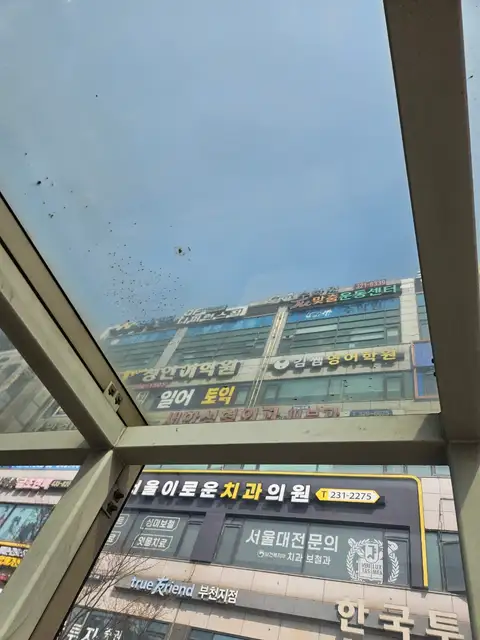 민스킨바디 사진 7