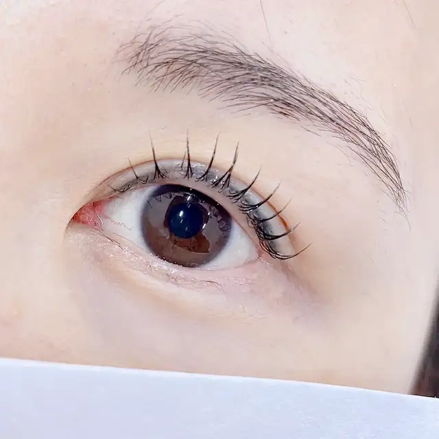 단스킨 사진 1