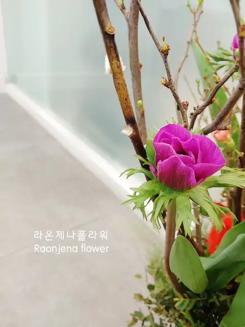 최가을헤어드레서 돈암점 사진 4