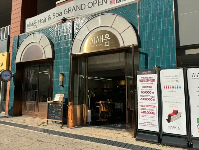 시새움 사진 3