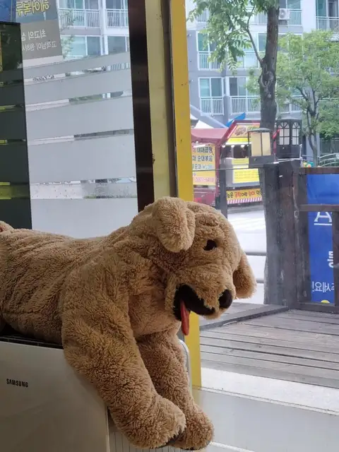 커틸다헤어살롱 의정부점 사진 8