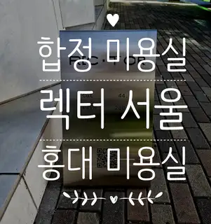 렉터 서울 사진