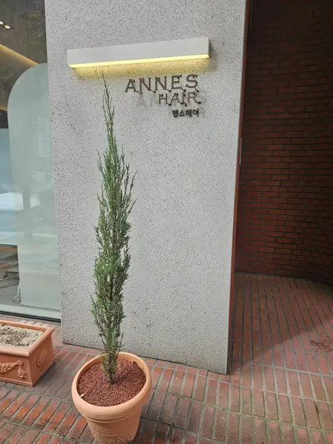 앤스헤어 사진 7