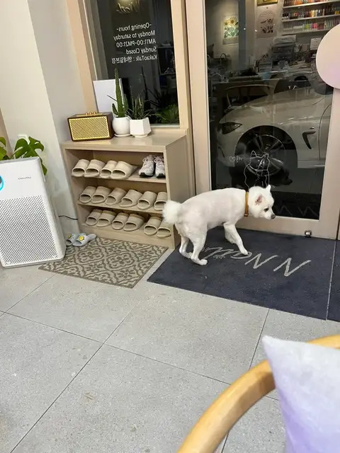 엔네일 춘천지점 사진 4