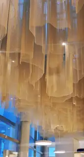 얼스헤어 사진