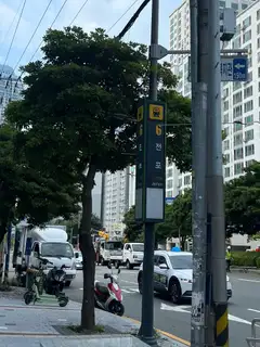 네일피오르 사진