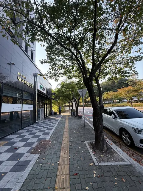브로우바바 사진 2