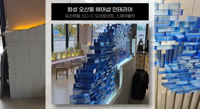 담우 사진 5