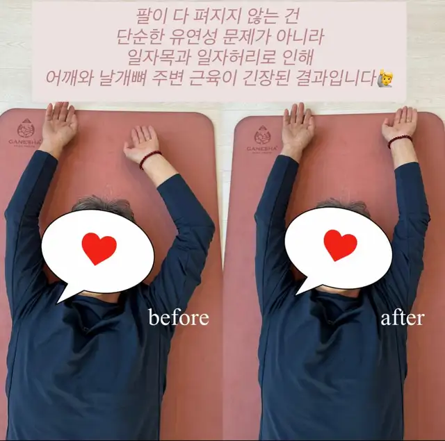 산책 사진 3