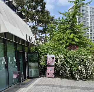 라라스킨 사진