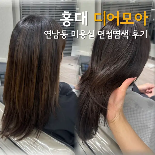 디어모아 사진 5
