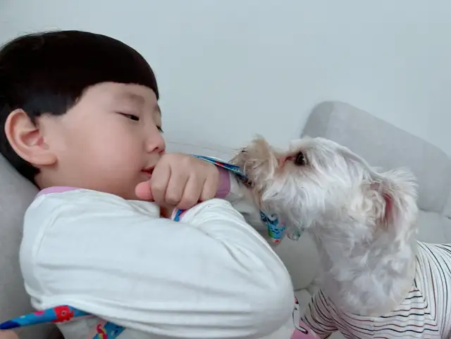 쏠로아떼 사진 2