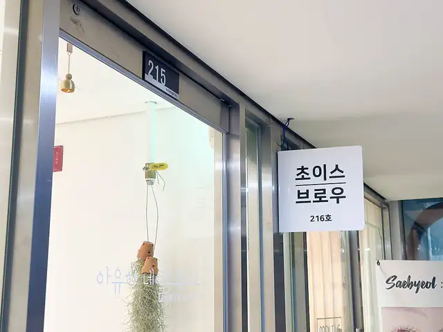 초이스브로우 사진 4