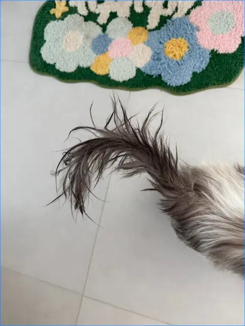 멋 서면점 사진 5